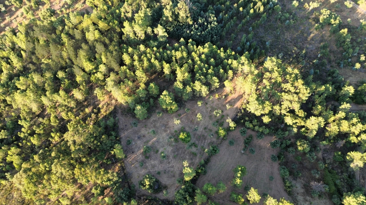 Terreno Agricola ou Rústico para Venda em Freixial e Juncal do Campo Foto 2