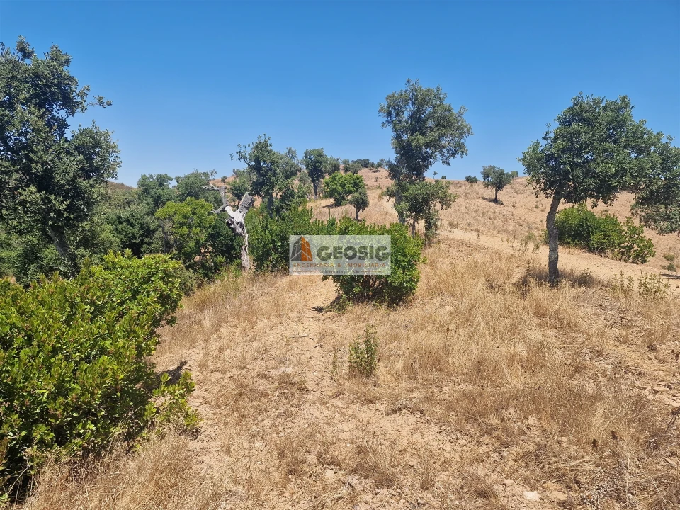 Quinta T2 para Venda em Santana da Serra Foto 24