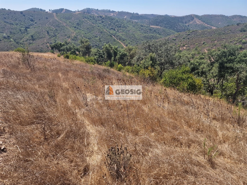 Quinta T2 para Venda em Santana da Serra Foto 22