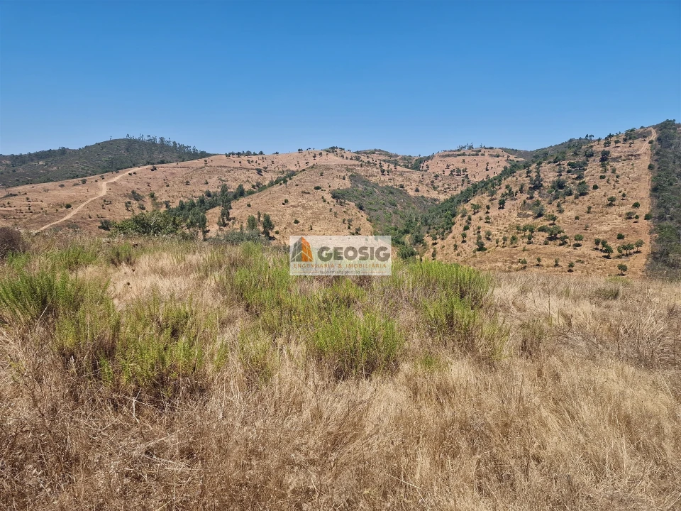 Quinta T2 para Venda em Santana da Serra Foto 11