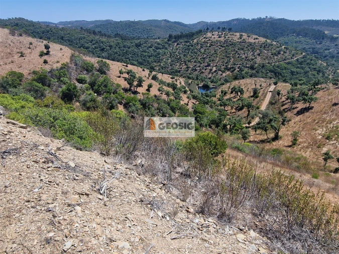 Quinta T2 para Venda em Santana da Serra Foto 28