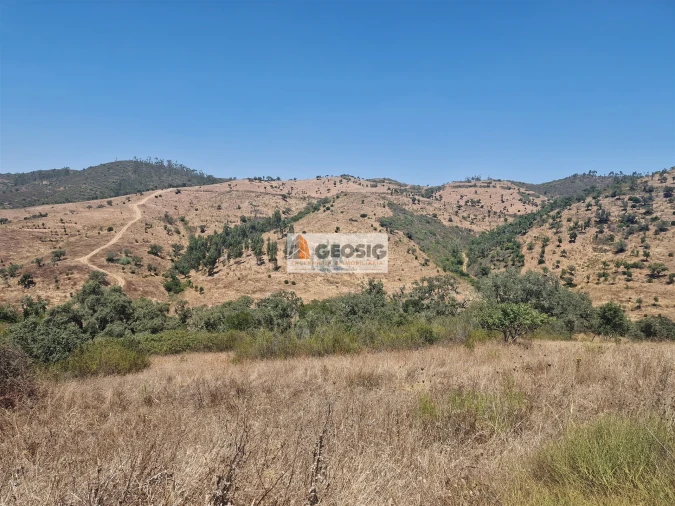 Quinta T2 para Venda em Santana da Serra Foto 12