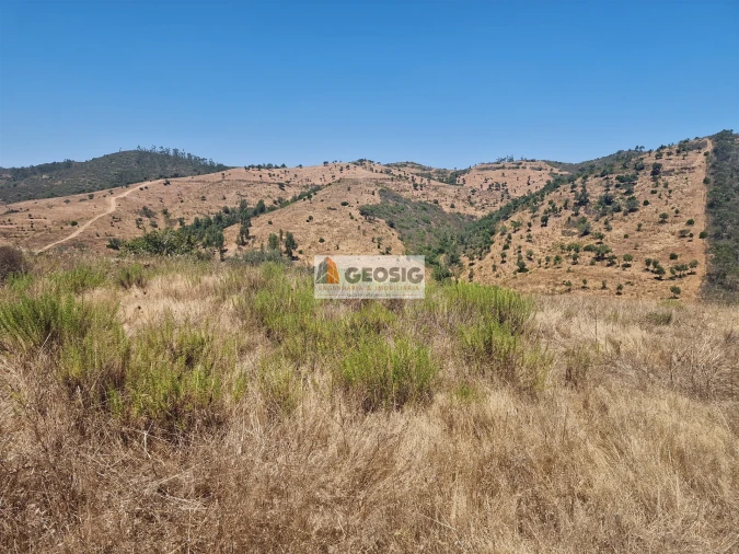 Quinta T2 para Venda em Santana da Serra Foto 11