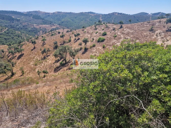 Quinta T2 para Venda em Santana da Serra Foto 29