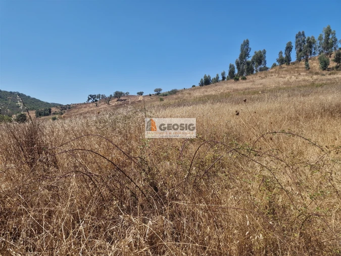 Quinta T2 para Venda em Santana da Serra Foto 18