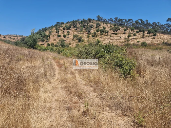 Quinta T2 para Venda em Santana da Serra Foto 16