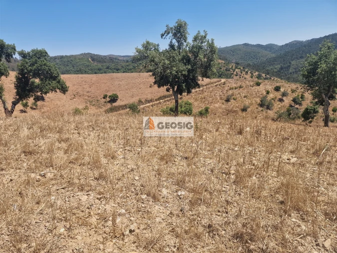 Quinta T2 para Venda em Santana da Serra Foto 27