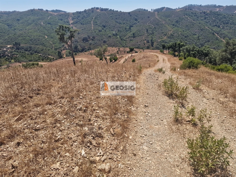 Quinta T2 para Venda em Santana da Serra Foto 25
