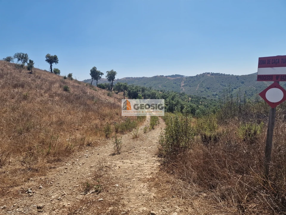 Quinta T2 para Venda em Santana da Serra Foto 31