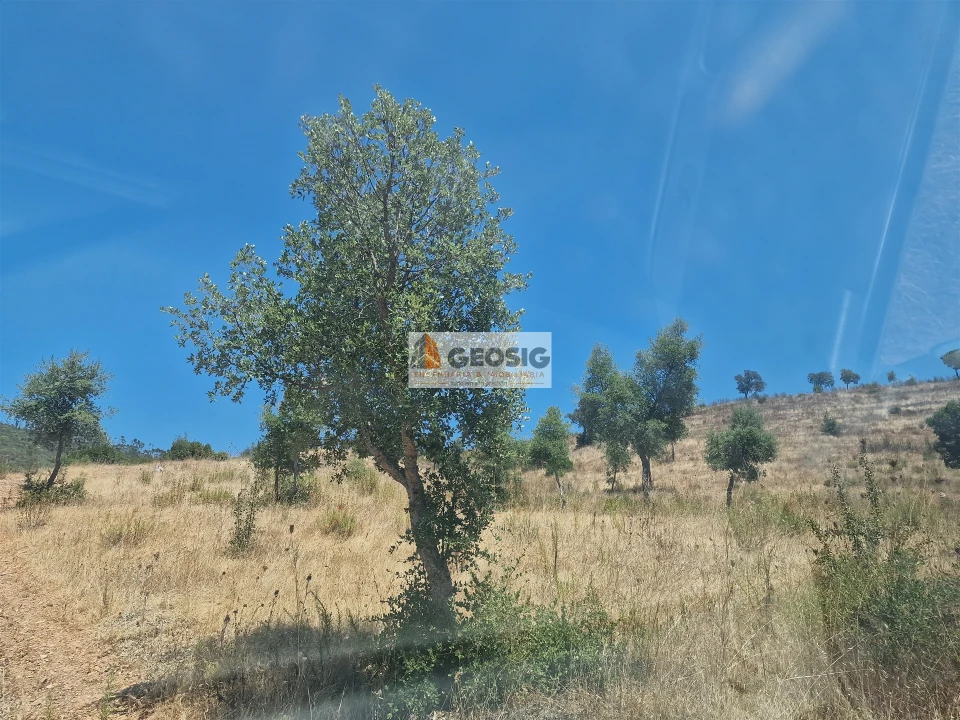 Quinta T2 para Venda em Santana da Serra Foto 21