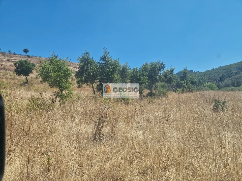 Quinta T2 para Venda em Santana da Serra Foto 20