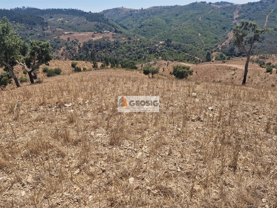 Quinta T2 para Venda em Santana da Serra Foto 26