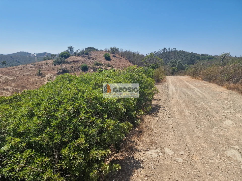 Quinta T2 para Venda em Santana da Serra Foto 30