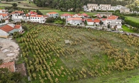 Quinta T0 para Venda em Antas e Abade de Vermoim