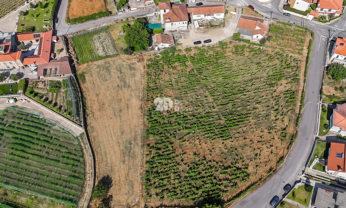Quinta T0 para Venda em Antas e Abade de Vermoim Foto 4