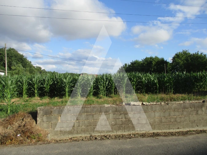 Terreno para Venda em Bustos, Troviscal e Mamarrosa