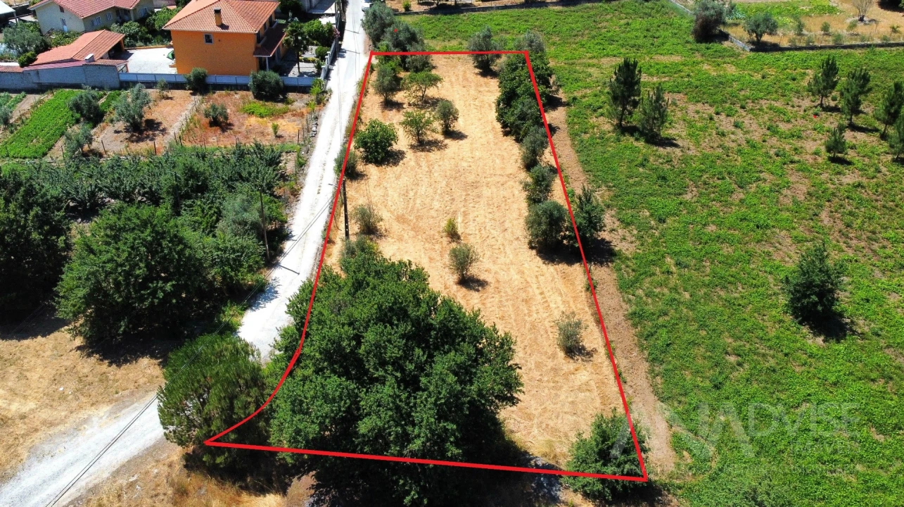 Terreno para Venda em São João de Lourosa Foto 38