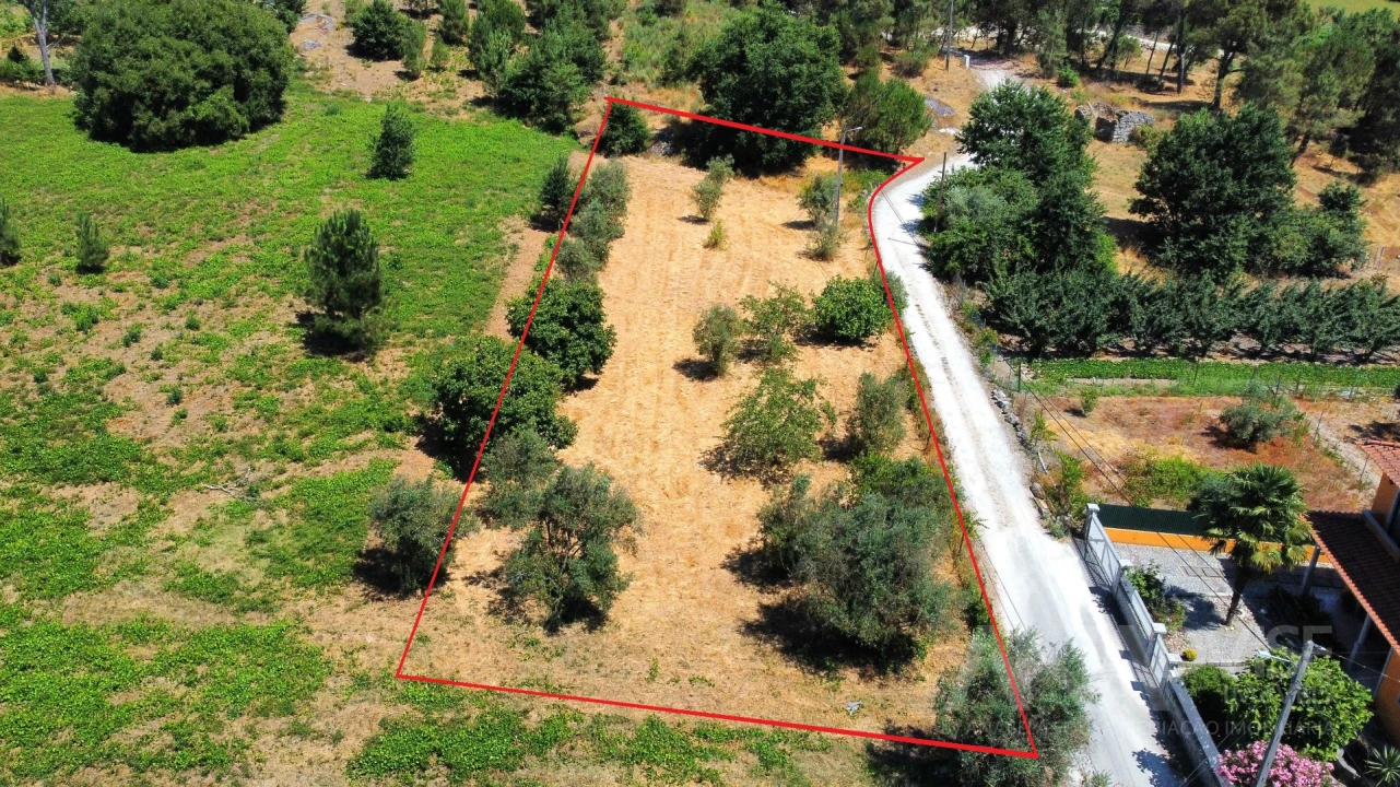 Terreno para Venda em São João de Lourosa Foto 5