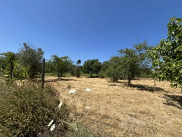 Terreno para Venda em São João de Lourosa