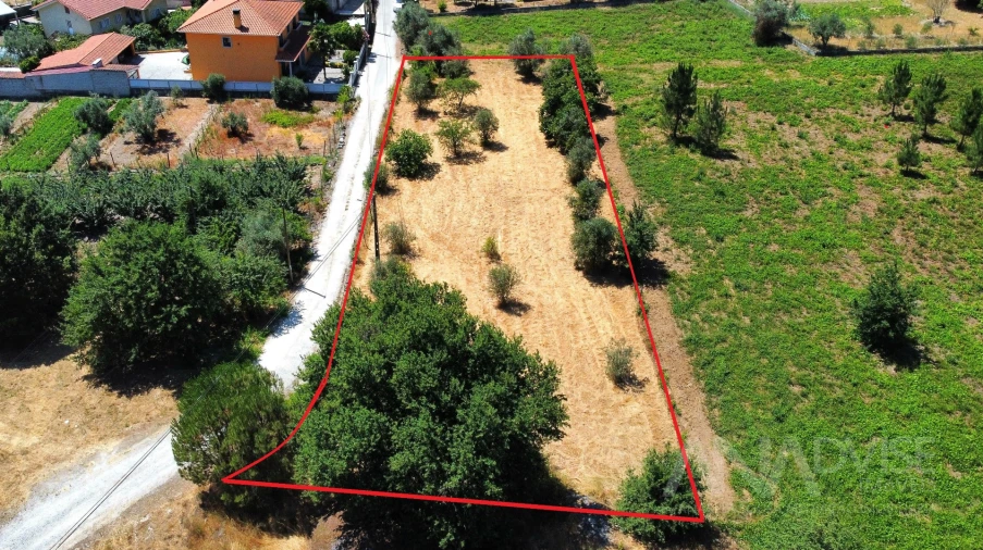 Terreno para Venda em São João de Lourosa Foto 38