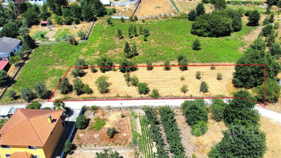 Terreno para Venda em São João de Lourosa Foto 3
