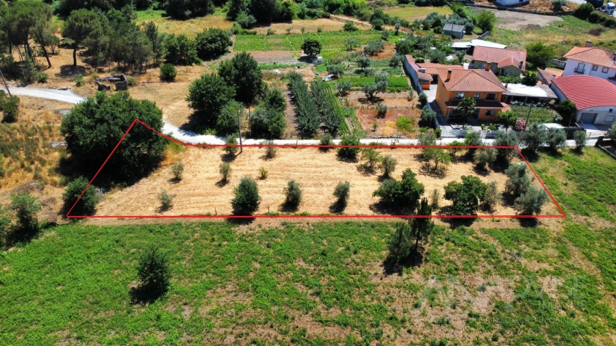 Terreno para Venda em São João de Lourosa Foto 39