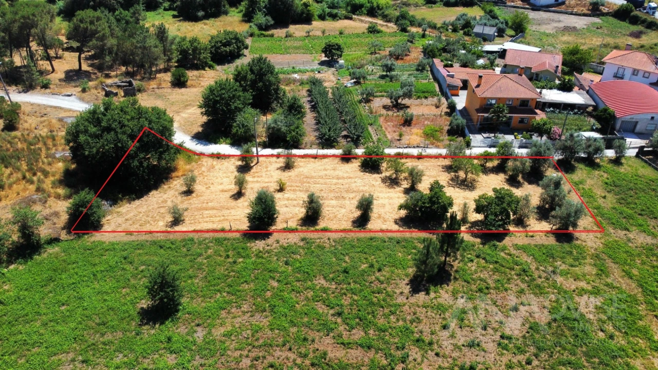 Terreno para Venda em São João de Lourosa Foto 39