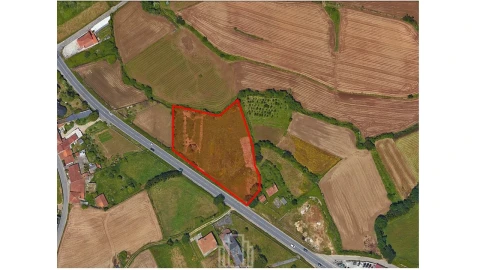 Terreno Agricola ou Rústico para Venda em Valega