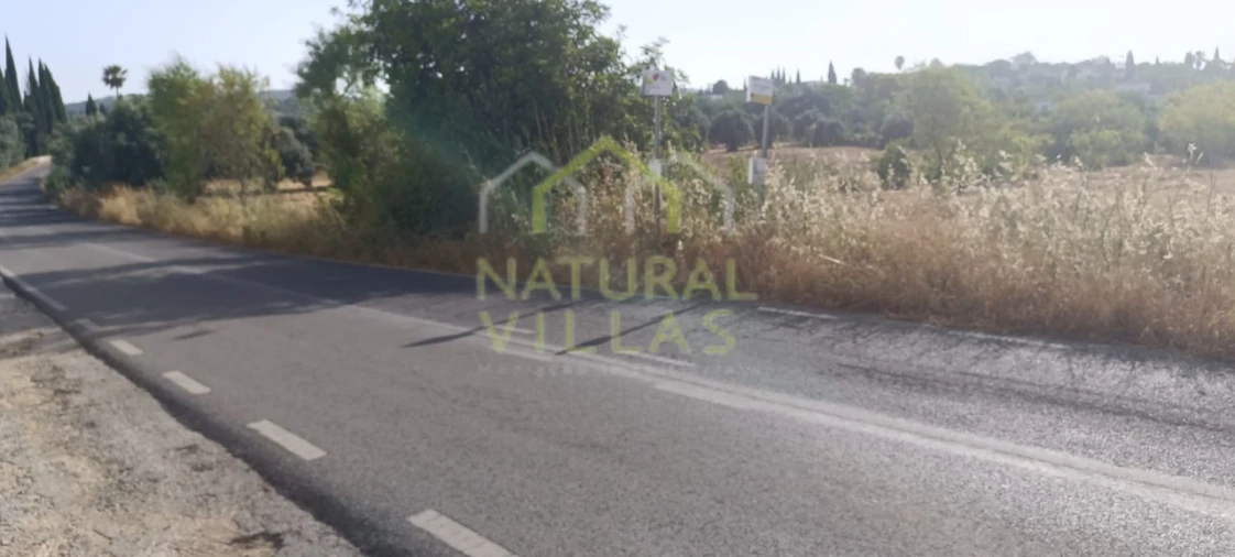 Terreno para Venda em Santa Barbara de Nexe Foto 10