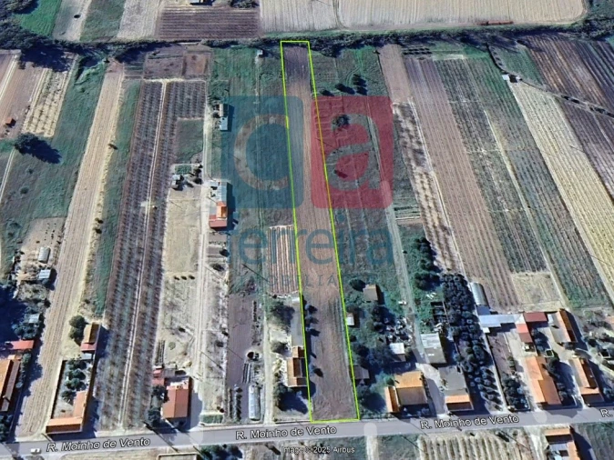 Terreno para Venda em Fazendas de Almeirim Foto 9