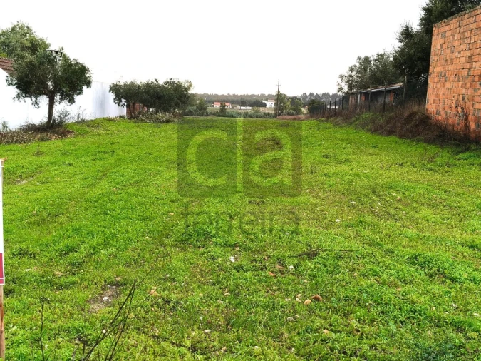 Terreno para Venda em Fazendas de Almeirim Foto 5