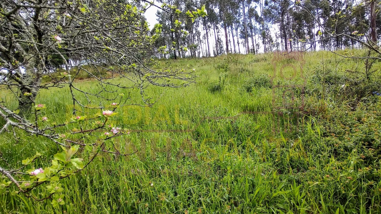 Moradia T2 para Venda em Ceira Foto 19