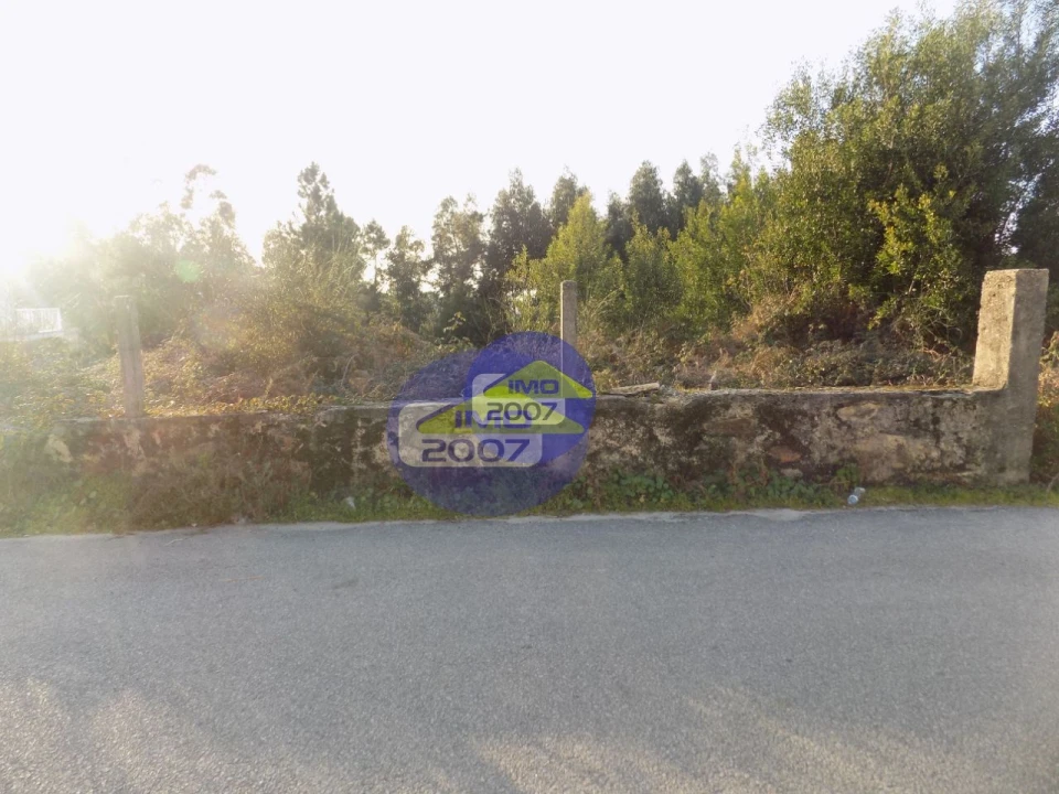 Terreno para Venda em Nogueira da Regedoura Foto 4