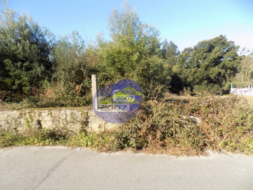 Terreno para Venda em Nogueira da Regedoura Foto 5