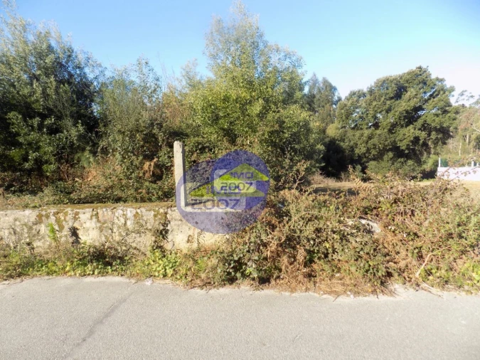 Terreno para Venda em Nogueira da Regedoura Foto 5
