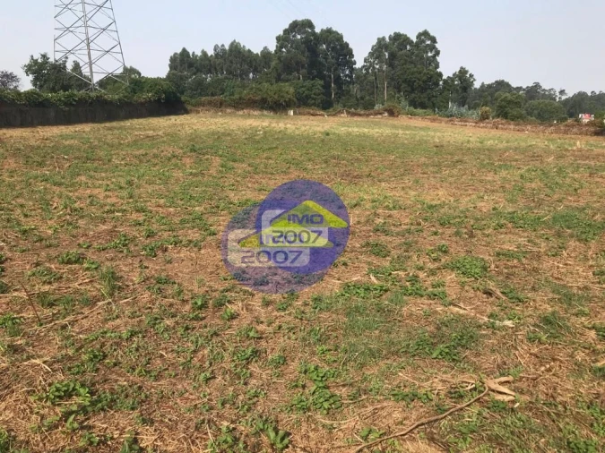 Terreno para Venda em Nogueira da Regedoura Foto 9