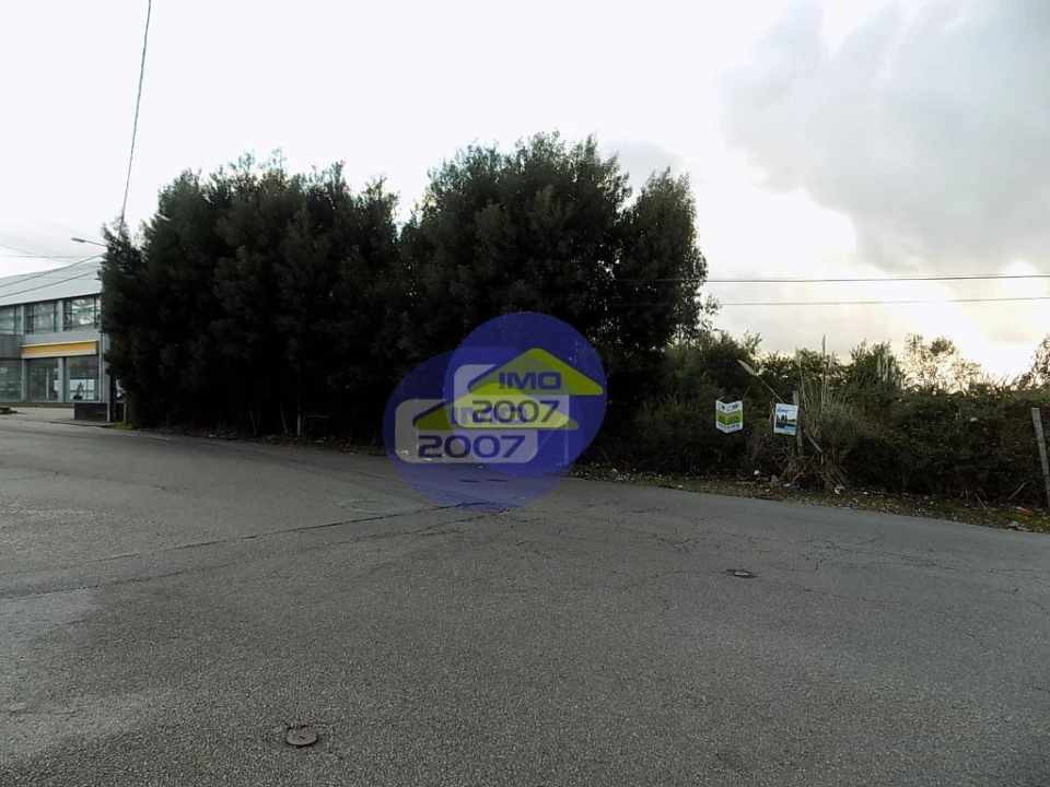 Terreno para Venda em Rio Meão Foto 6