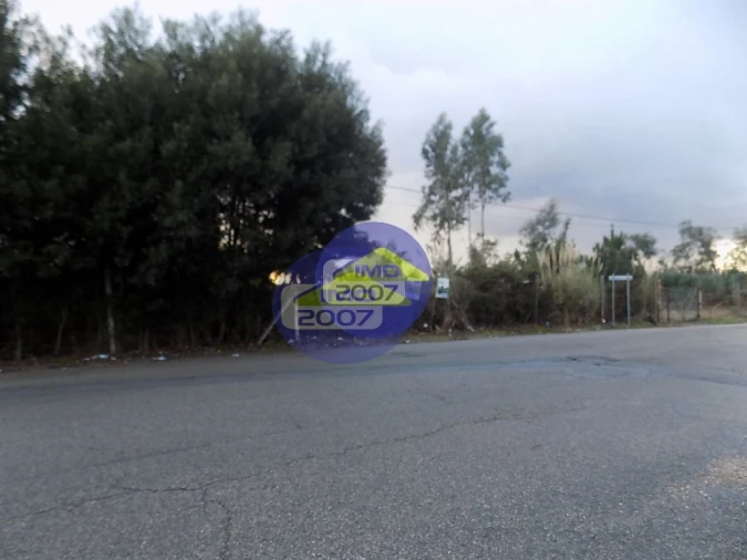 Terreno para Venda em Rio Meão Foto 5