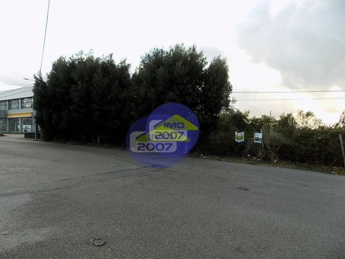 Terreno para Venda em Rio Meão Foto 6