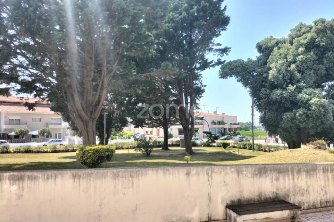 Negócio para Venda em Arvore Foto 4