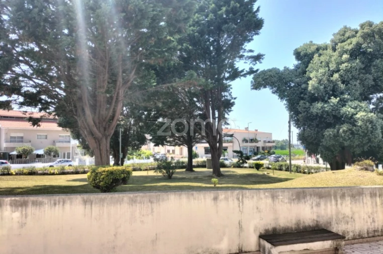 Negócio para Venda em Arvore Foto 4