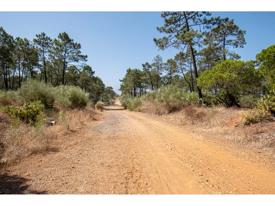 Moradia T3 para Venda em Monte Gordo Foto 32