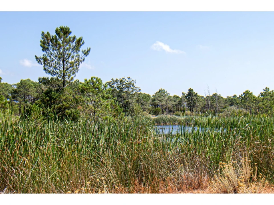 Moradia T3 para Venda em Monte Gordo Foto 34