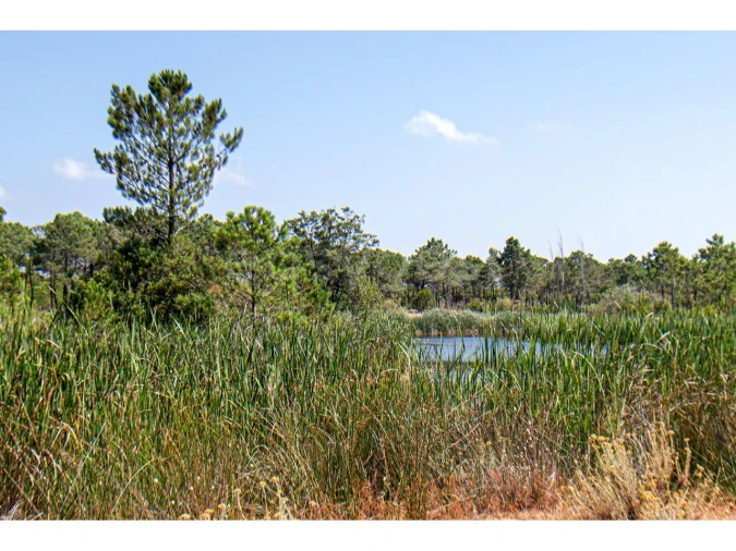 Moradia T3 para Venda em Monte Gordo Foto 34