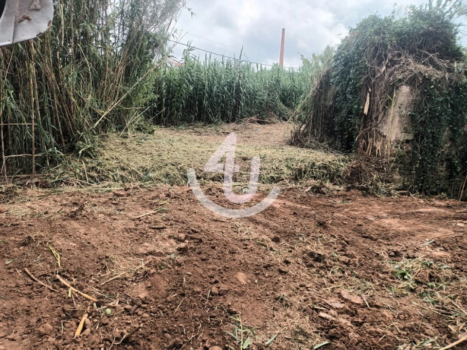 Terreno Agricola ou Rústico para Venda em Alfeizerão Foto 4