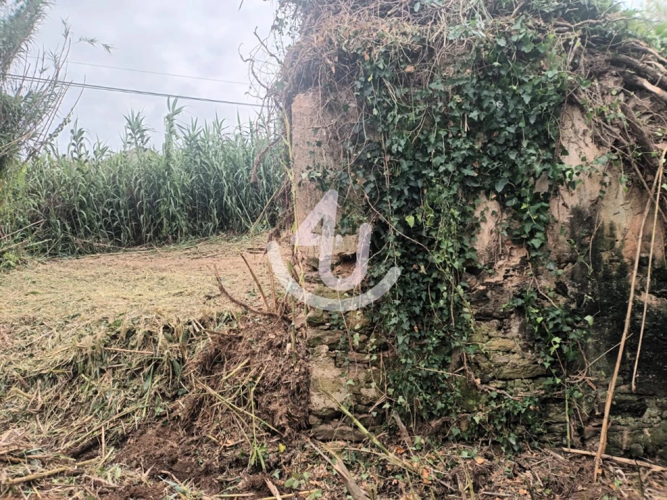 Terreno Agricola ou Rústico para Venda em Alfeizerão Foto 6