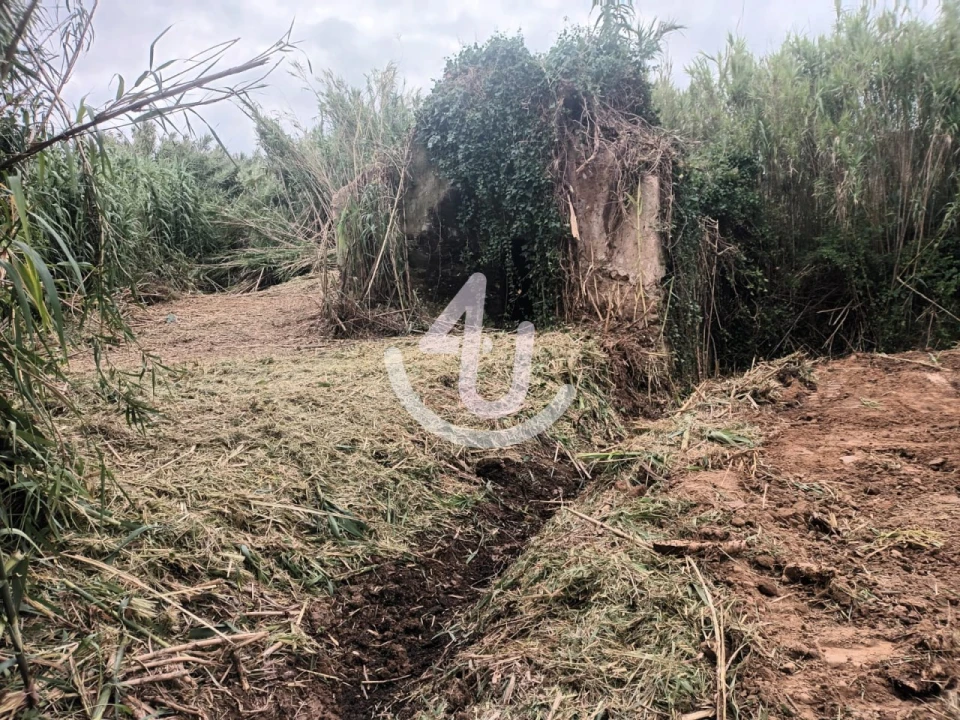 Terreno Agricola ou Rústico para Venda em Alfeizerão Foto 8