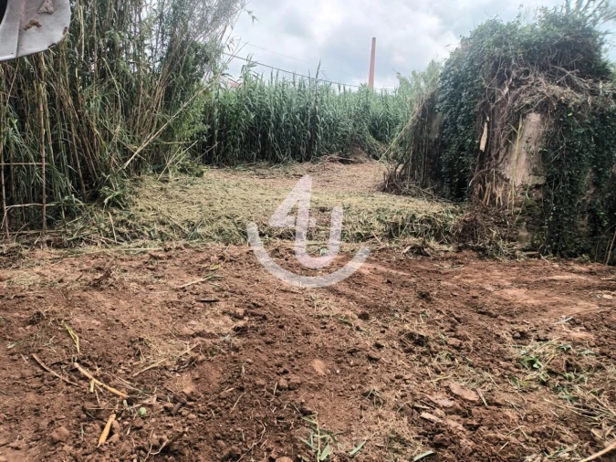 Terreno Agricola ou Rústico para Venda em Alfeizerão Foto 4