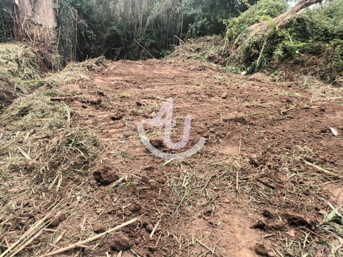Terreno Agricola ou Rústico para Venda em Alfeizerão Foto 5