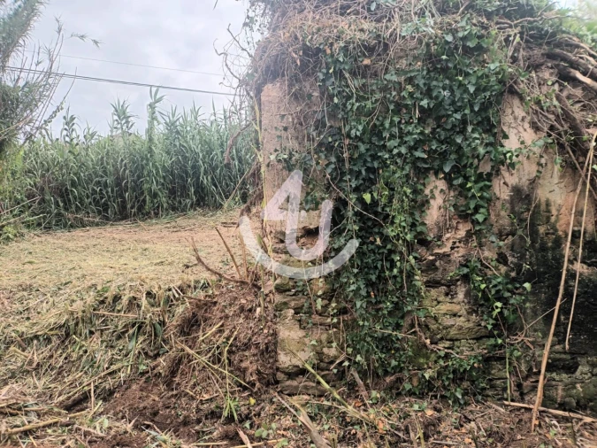 Terreno Agricola ou Rústico para Venda em Alfeizerão Foto 6